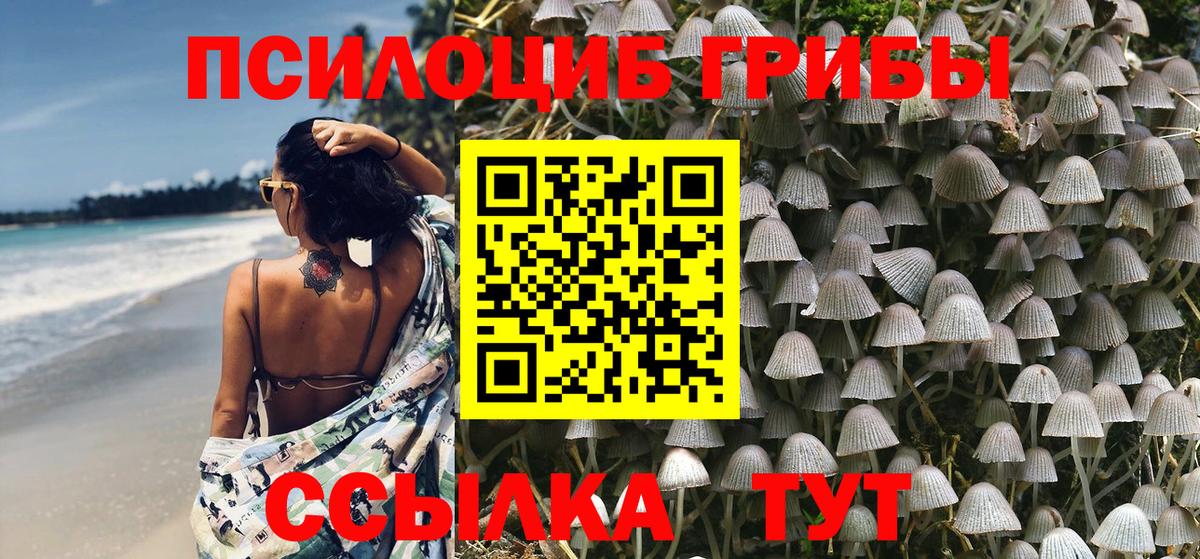 Набережные Челны  Галлюциногенные грибы Psilocybe  Псилоцибиновые грибы GOLDEN TEACHER  Вход с VPN 